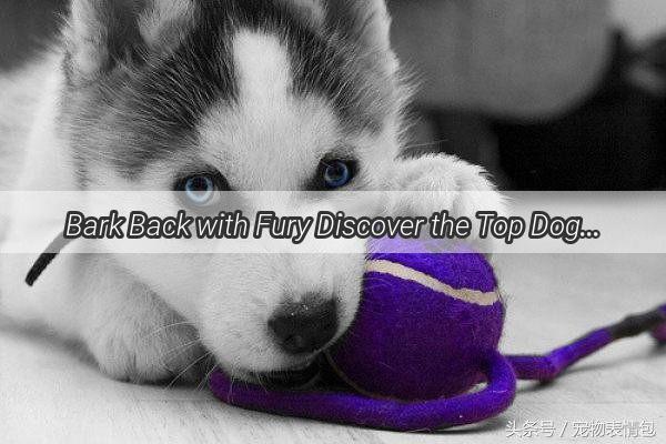 Bark Back with Fury Discover the Top Dogs That Stand Up for Their Owners